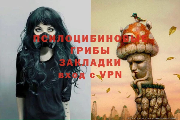 прущий лед Белокуриха